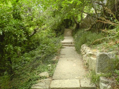 DSC00586.JPG