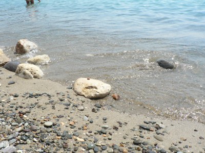 P1120733.jpg (566.91 КБ) Просмотров: 70139 P1120733.jpg