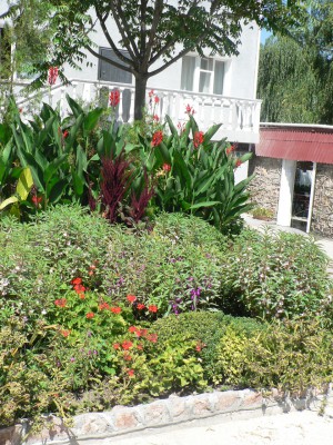 P1120787.jpg (798.38 КБ) Просмотров: 70159 P1120787.jpg